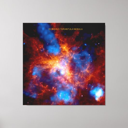 Tarantula-nevel Canvas Afdruk (Voorkant)