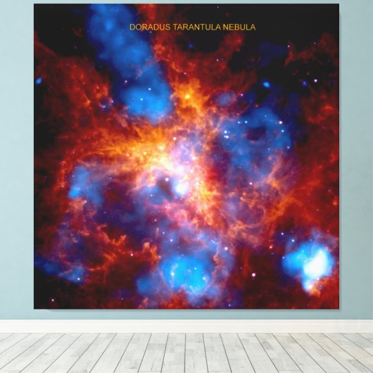 Tarantula-nevel Canvas Afdruk (Insitu (Houten vloer))
