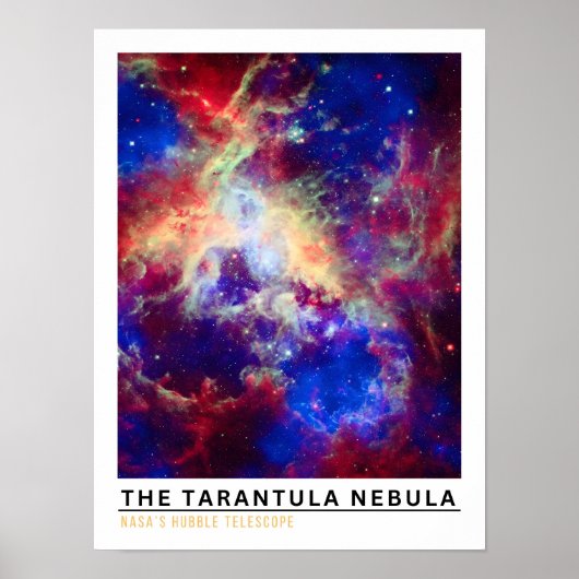 Tarantula Nevel Ruimte Onderwijs Poster (Voorkant)