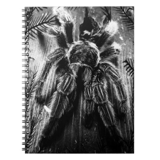Tarantula notebook notitieboek (Voorkant)