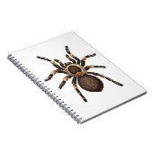 Tarantula Notitieboek (Rechterzijde)
