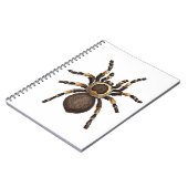 Tarantula Notitieboek (Linkerzijde)