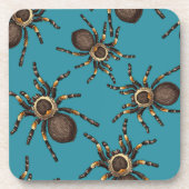 Tarantula op blauw bier onderzetter (Voorkant)