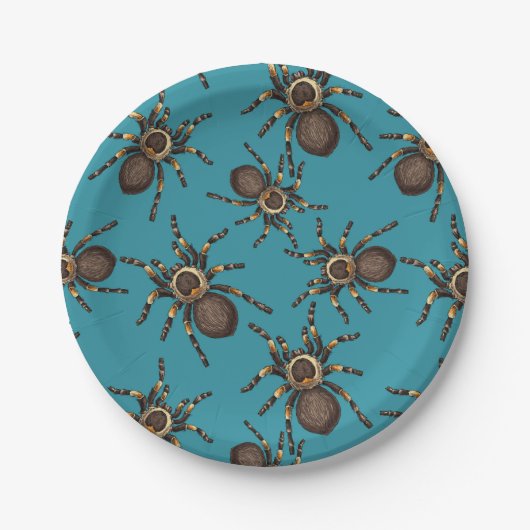 Tarantula op blauw papieren bordje (Voorkant)