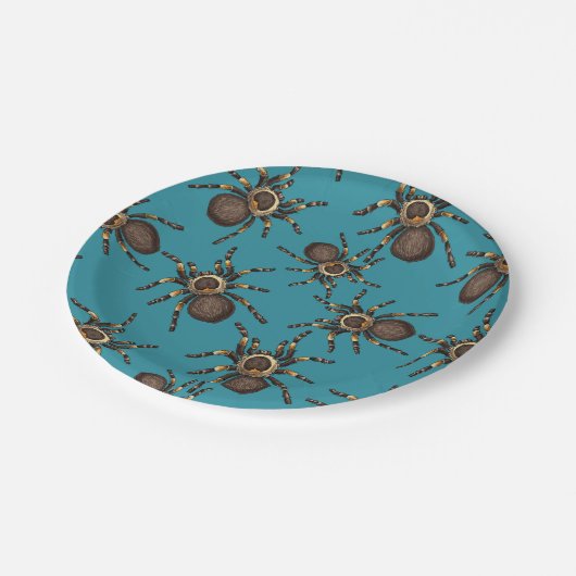 Tarantula op blauw papieren bordje (Gekanteld)