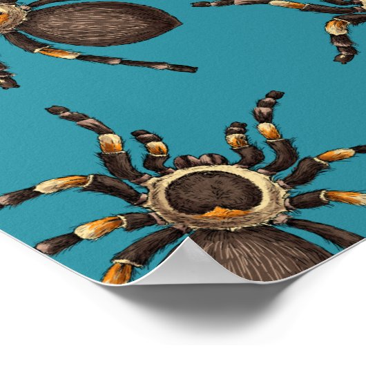 Tarantula op blauw poster (Hoek)