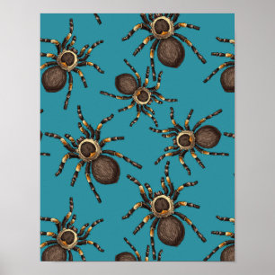 Tarantula op blauw poster