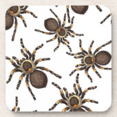 Tarantula op wit bier onderzetter (Voorkant)