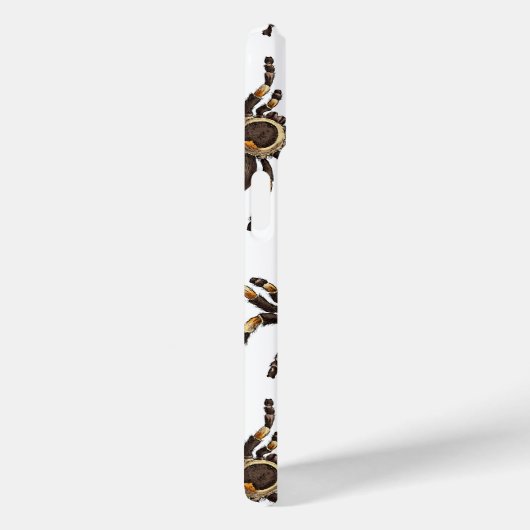 Tarantula op wit Case-Mate iPhone case (Achterkant / Rechts)