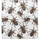 Tarantula op wit douchegordijn (Voorkant)