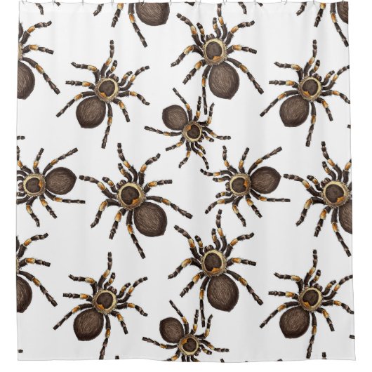 Tarantula op wit douchegordijn (Voorkant)