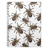 Tarantula op wit notitieboek (Voorkant)