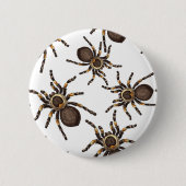 Tarantula op wit ronde button 5,7 cm (Voorkant)
