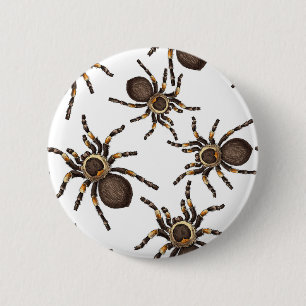 Tarantula op wit ronde button 5,7 cm
