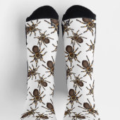 Tarantula op wit sokken (Top)