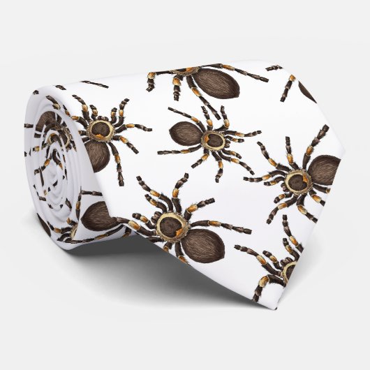 Tarantula op wit stropdas (Opgerold)