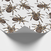 Tarantula op wit verpakkingspapier cadeaupapier (Hoek)