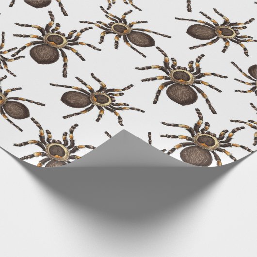 Tarantula op wit verpakkingspapier cadeaupapier (Hoek)