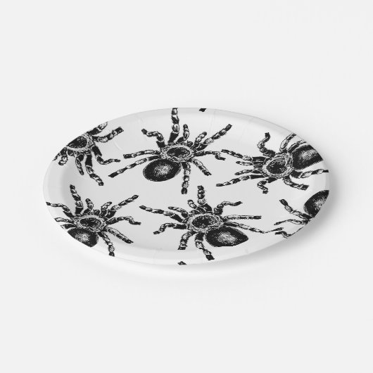 Tarantula Papieren Bordje (Gekanteld)