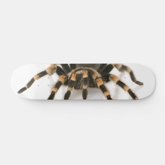 Tarantula Persoonlijk Skateboard (Horizontaal)