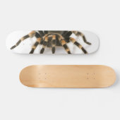 Tarantula Persoonlijk Skateboard (Horizontaal)
