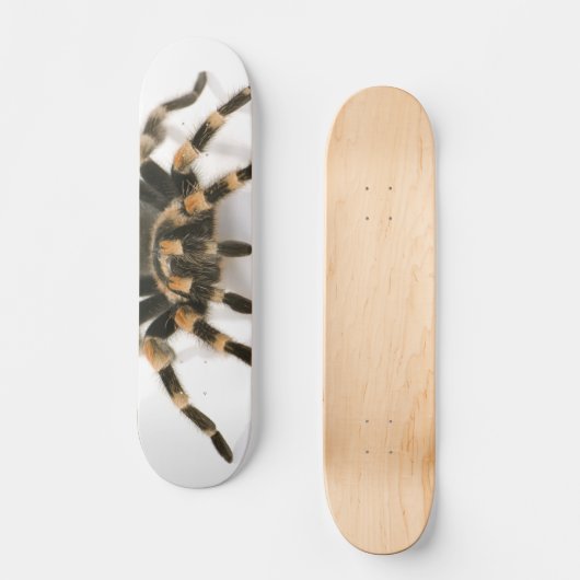Tarantula Persoonlijk Skateboard (Voorkant)