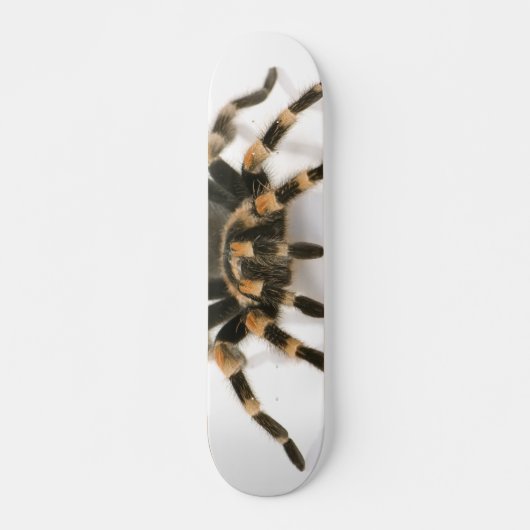 Tarantula Persoonlijk Skateboard (Voorkant)