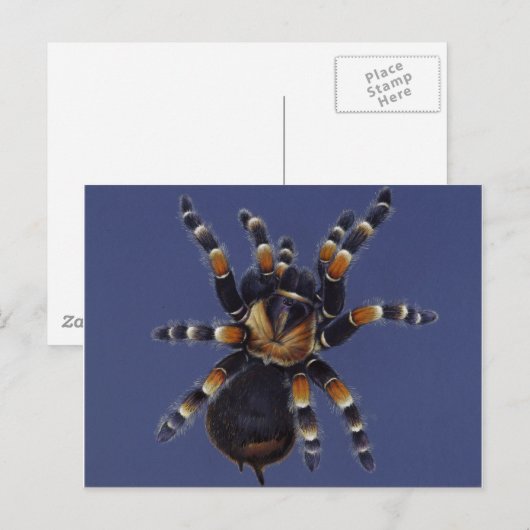 Tarantula Portrait Briefkaart (Voorkant / Achterkant)