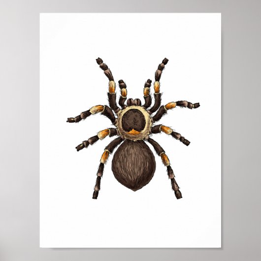 Tarantula Poster (Voorkant)