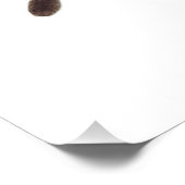 Tarantula-Poster Foto Afdruk (Hoek)