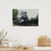 Tarantula Railroad, Fort Worth, Texas, VS Poster (Keuken)