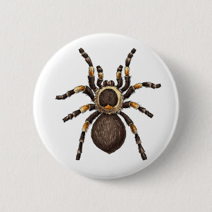 Tarantula Ronde Button 5,7 Cm