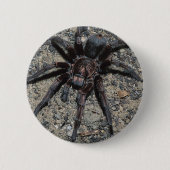 Tarantula Ronde Button 5,7 Cm (Voorkant)