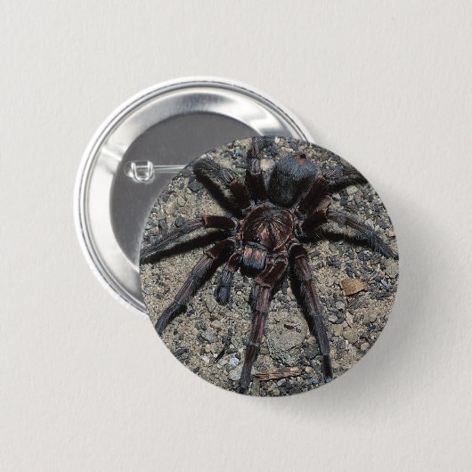 Tarantula Ronde Button 5,7 Cm (Voorkant /achterkant)