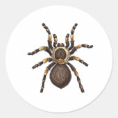 Tarantula Ronde Sticker (Voorkant)