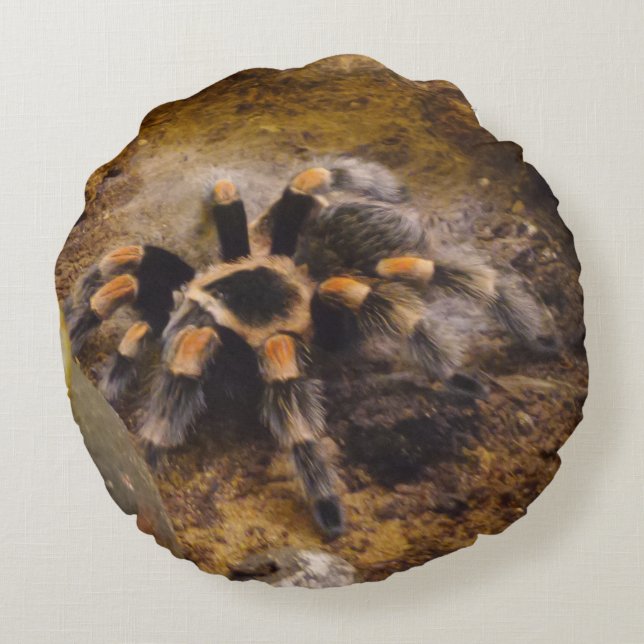 Tarantula Round Pillow Rond Kussen (Achterkant)