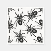 Tarantula Servet (Voorkant)