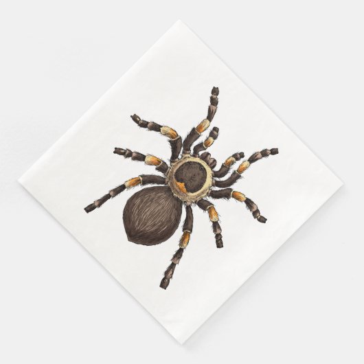 Tarantula Servet (Hoek)