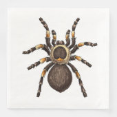 Tarantula Servet (Voorkant)