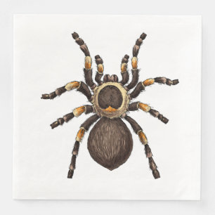 Tarantula Servet