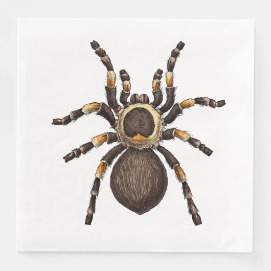 Tarantula Servet (Voorkant)