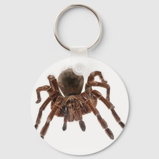 TARANTULA SLEUTELHANGER (Voorkant)