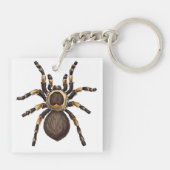 Tarantula Sleutelhanger (Achterkant)