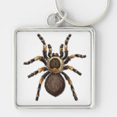 Tarantula Sleutelhanger (Voorkant)