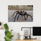 Tarantula sluit af poster (Thuiskantoor)