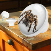 Tarantula Spider Decoratieve Knop, leuk Keramische Knop