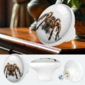 Tarantula Spider Decoratieve Knop, leuk Keramische Knop