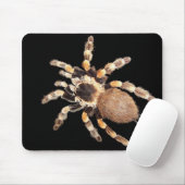 Tarantula Spider Muismat (Met muis)