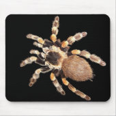 Tarantula Spider Muismat (Voorkant)