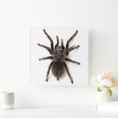 Tarantula Spider Wall klok (Huis)